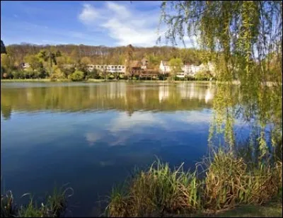 Ville-d'Avray est une commune dont les étangs sont célèbres, car ils ont été peints par Corot en 1873. Les habitants sont...