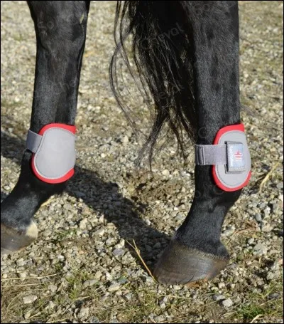 Comment s'appelle cette protection ?