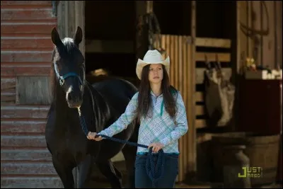 Quel est le nom de ce cheval ?