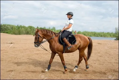 Sport et récipient !
