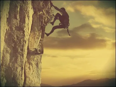 Ta principale qualité est :