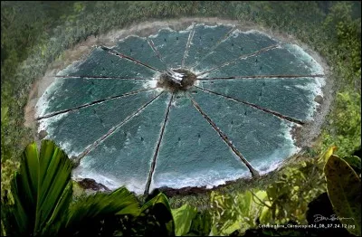 Serais-tu prêt(e) à tuer dans l'arène ?