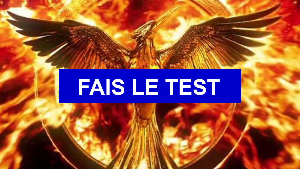 Quel Personnage De Hunger Games Es Tu Test de personnalité Quel personnage de Hunger Games es-tu ?