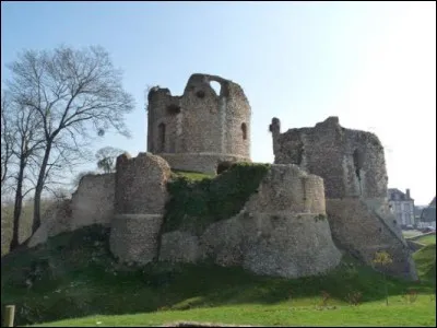 Conches-en-Ouche est une petite ville de 5 000 habitants dominée par les ruines de son château fort, située à mi-chemin entre Paris et la mer. Dans quel département se trouve-t-elle ?
