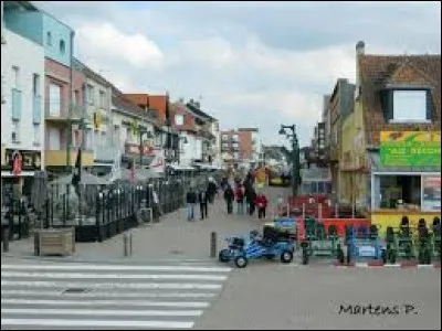 Très belle ville de la Somme où l'on sert beaucoup de poissons dans les restaurants. La mer est présente et il y a beaucoup d'affluence en été. Quelle est cette ville ?