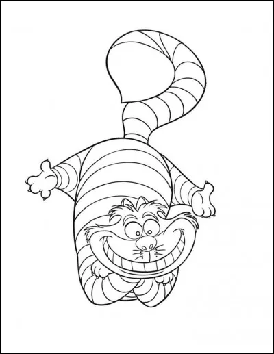 De quelles couleurs est Chafouin ?