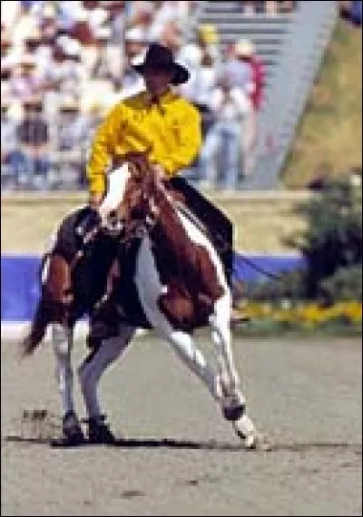 Comment se nomme cette figure de reining ?