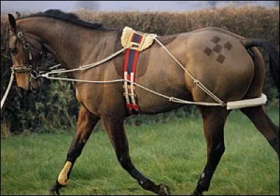 Quel est le nom du cavalier inventeur de cet enrênement ?