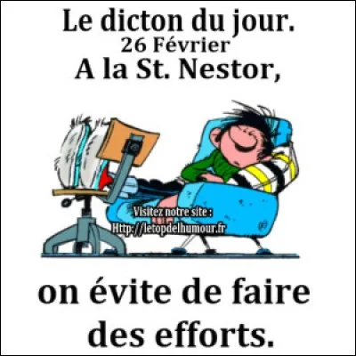 Terminez le proverbe : Vent fort à la Saint Nestor, bon vin...