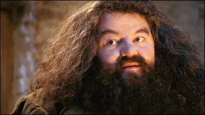 Comment le dragon de Hagrid s'appelle-t-il (avant que l'on découvre que c'est une femelle) ?