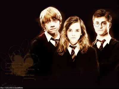 Comment Harry, Hermione et Ron appellent-ils Sirius pour que personne ne se doute qu'il est encore vivant ?