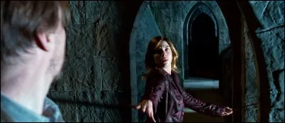 Comment Remus et Nymphadora sont-ils installés sur leur brancards ?