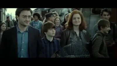 Comment les enfants de Ron Weasley et Hermione Granger-Weasley s'appellent-ils ?