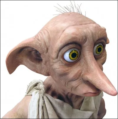 Comment Dobby est-il libéré des Malefoy ?