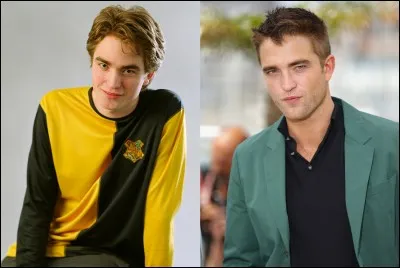 Quel dragon Cédric a-t-il affronté ?