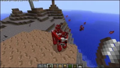 Quel est le skin "tuxedo Steeve" ?