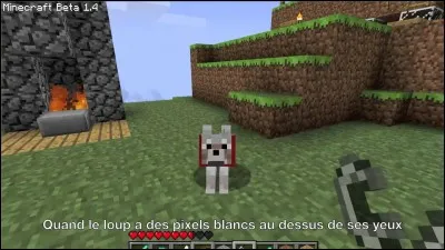 Comment avoir un chien ?
(Une réponse)