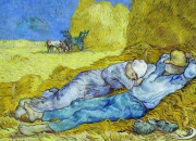 Vrai ou faux - Vincent van Gogh