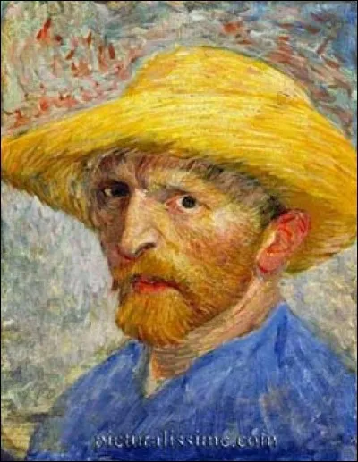 Van Gogh est n&eacute; aux pays-Bas :