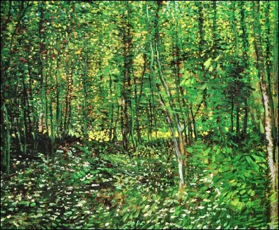Ce sous-bois a &eacute;t&eacute; peint par van Gogh :