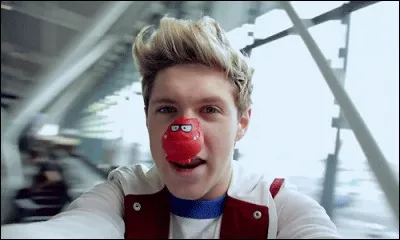 Qu'aurait-il voulu faire s'il n'avait pas été chanteur ?