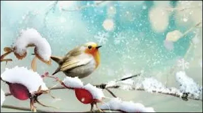 Récompense cinématographique décernée chaque année en Espagne :