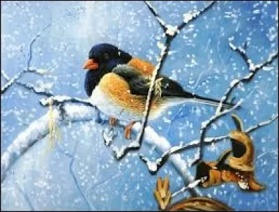 Instrument de musique à cordes frottées, plus grave que le violon :