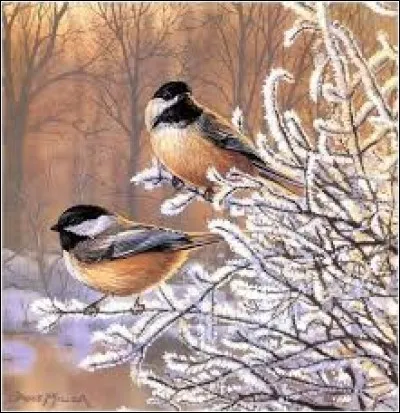 Familièrement, téléphone :