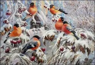 Nom d'un cépage de vigne, au pluriel :