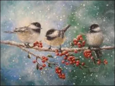 Pluriel de "las, fatigué" en Polynésie :