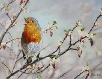 C'est le nom commercial de la baie du lyciet commun et du lyciet de Chine :