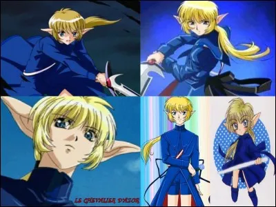 Qui est le Chevalier Bleu ?