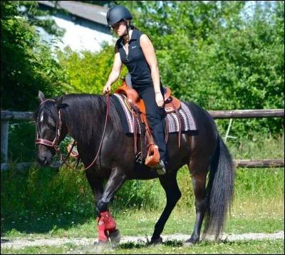 Quelle est l'action de la clavicule dans le reculer ?