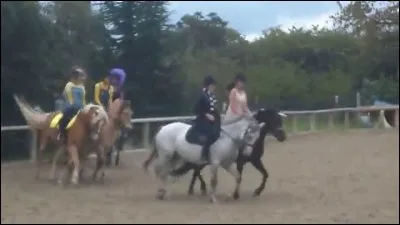 Comment se nomme cette forme de dressage à plusieurs ?