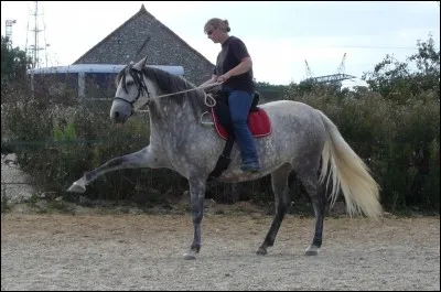 Quel est le nom de cette figure ?