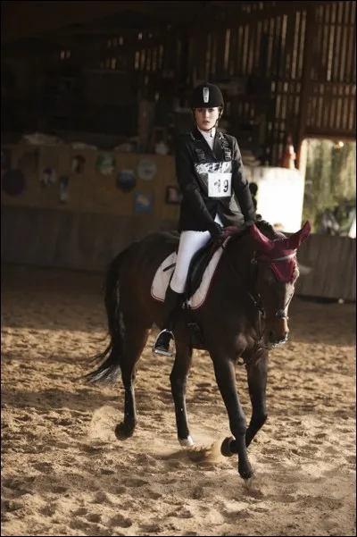 Quel matériel est interdit en compétition de dressage, en France ?