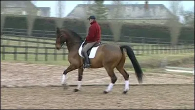 Quelle figure ne fait pas changer de main ?