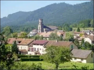 Nous restons dans le Grand-Est mais cette fois nous prenons la direction de Moussey. C'est un village de l'arrondissement de Saint-Dié et du canton de Raon-l'Étape situé dans le département ...