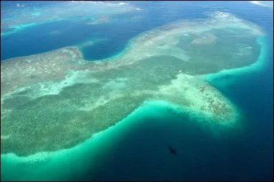 Quel avion peut-on prendre pour le trajet "France-Martinique" ?