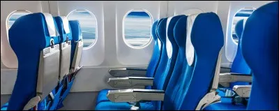 Que trouvons-nous près de notre siège dans l'avion ?