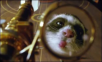 Comment s'appelle cette crature ?