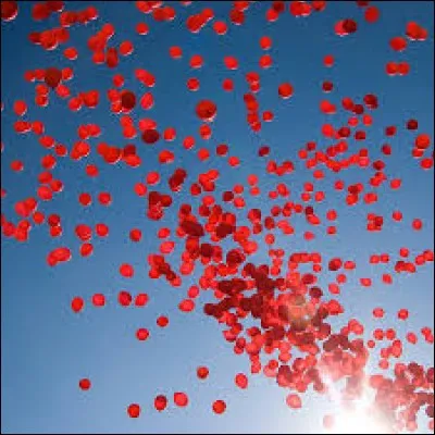Auquel de ces artistes doit-on l'interprétation du titre "Les Ballons rouges", sorti en 1967 ?
