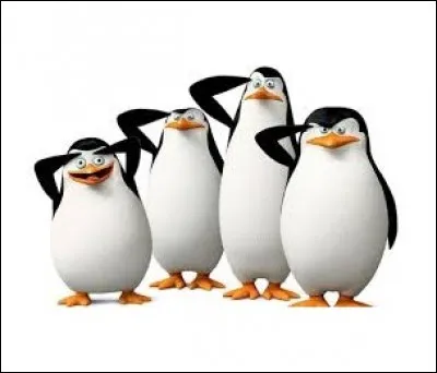 &Agrave; quoi ces manchots passent-ils leur temps dans "Madagascar" ?