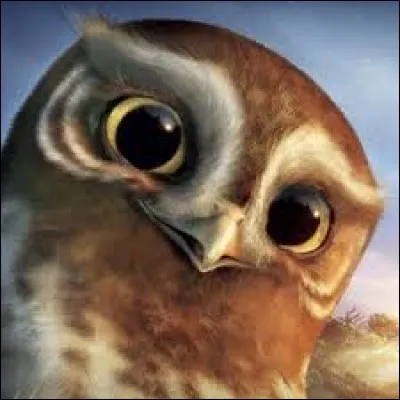 Dans quel film d'animation Soren, une jeune chouette effraie des clochers, est-elle le personnage principal ?