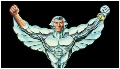 Quelle est la traduction de "SilverHawks" en fran&ccedil;ais ?