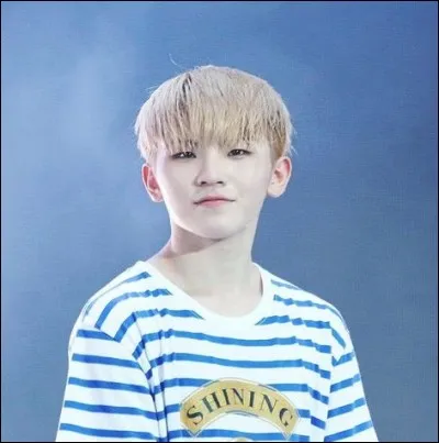 A quel groupe appartient ce chanteur ?