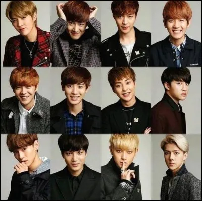 Combien de membres compte EXO depuis 2016 ?