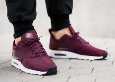 De quelle marque de baskets les Air Max sont-elles issues ?