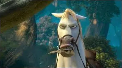 Comment s'appelle ce cheval ?