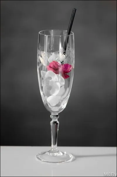 Quel cocktail est réalisé à base de téquila, cointreau et citron ?